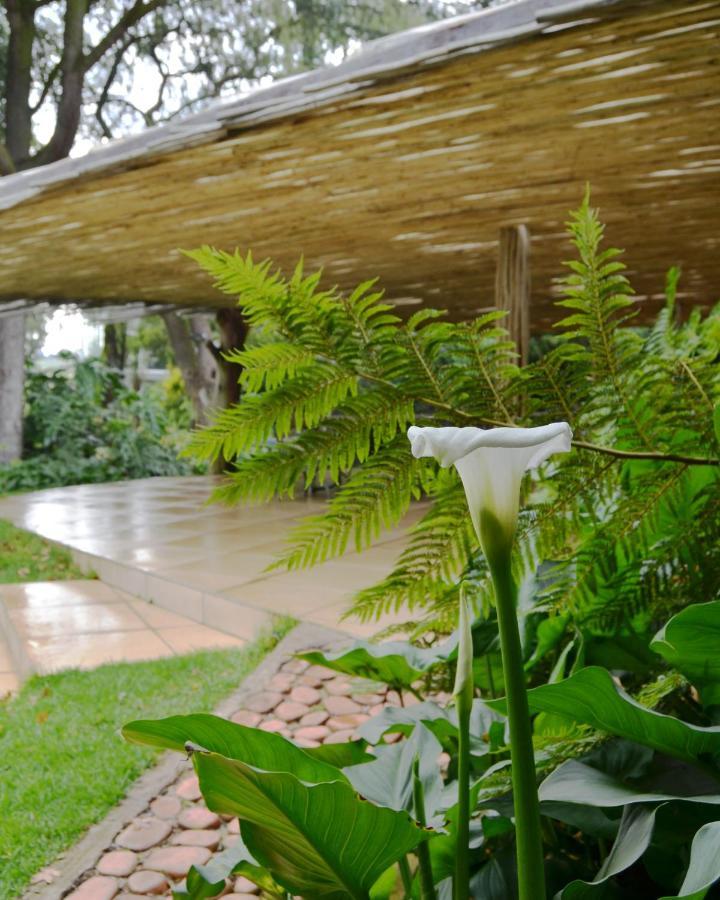 Highveld Splendour Boutique Bed And Breakfast Ermelo Exteriér fotografie
